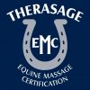 Therasage EMC Logo Therasage EMC Logo
